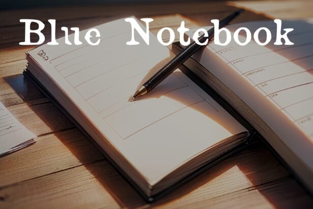 Blue notebook - Walkthrough | Trophy Guide | Achievement Guide