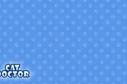 Cat Doctor - Walkthrough | Trophy Guide | Achievement Guide