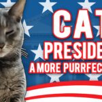Cat President: A More Purrfect Union - Walkthrough | Trophy Guide | Achievement Guide