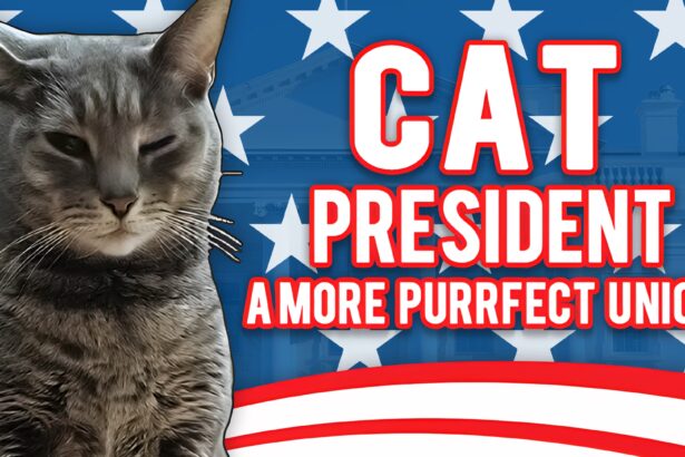Cat President: A More Purrfect Union - Walkthrough | Trophy Guide | Achievement Guide