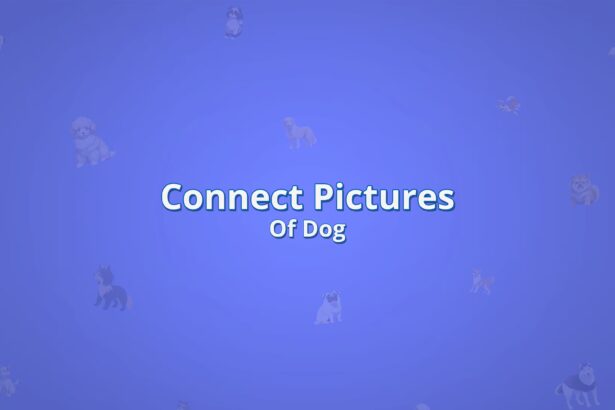 Connect Pictures Of Dog - Walkthrough | Trophy Guide | Achievement Guide