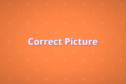 Correct Picture - Walkthrough | Trophy Guide | Achievement Guide