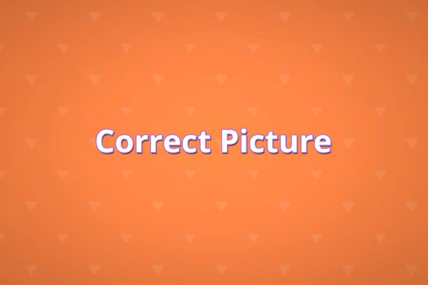 Correct Picture - Walkthrough | Trophy Guide | Achievement Guide
