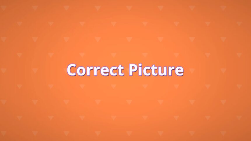 Correct Picture - Walkthrough | Trophy Guide | Achievement Guide