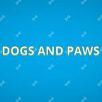 Dogs And Paws - Walkthrough | Trophy Guide | Achievement Guide