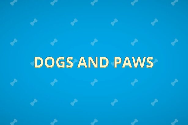 Dogs And Paws - Walkthrough | Trophy Guide | Achievement Guide