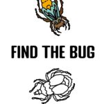Find the Bug - Walkthrough | Trophy Guide | Achievement Guide