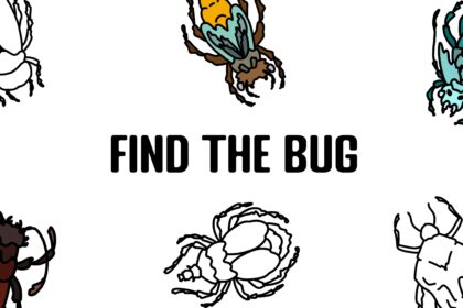 Find the Bug - Walkthrough | Trophy Guide | Achievement Guide