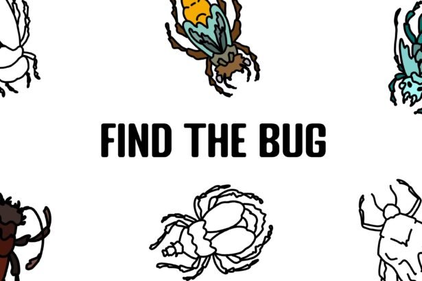 Find the Bug - Walkthrough | Trophy Guide | Achievement Guide
