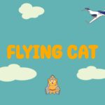Flying Cat - Walkthrough | Trophy Guide | Achievement Guide