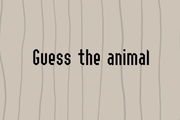 Guess the animal - Walkthrough | Trophy Guide | Achievement Guide