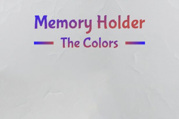 Memory Holder: The Colors - Walkthrough | Trophy Guide | Achievement Guide