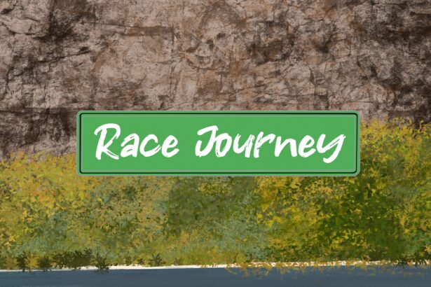 Race Journey - Walkthrough | Trophy Guide | Achievement Guide