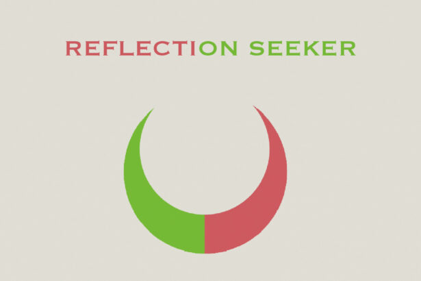 Reflection seeker - Walkthrough | Trophy Guide | Achievement Guide