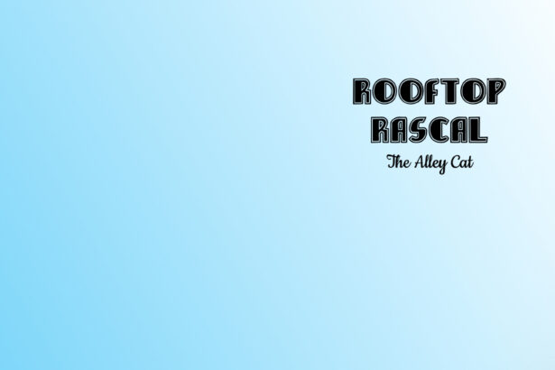 Rooftop Rascal: The Alley Cat - Walkthrough | Trophy Guide | Achievement Guide