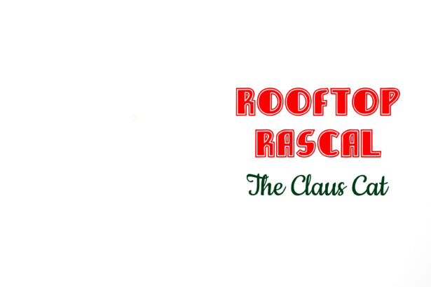 Rooftop Rascal: The Claus Cat - Walkthrough | Trophy Guide | Achievement Guide