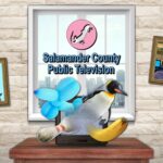 Salamander County Public Television - Walkthrough | Trophy Guide | Achievement Guide
