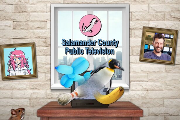 Salamander County Public Television - Walkthrough | Trophy Guide | Achievement Guide