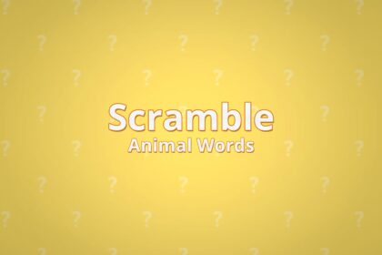 Scramble Animal Words - Walkthrough | Trophy Guide | Achievement Guide
