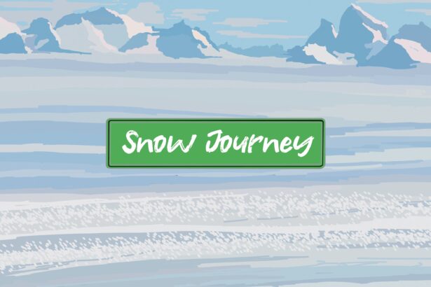 Snow Journey - Walkthrough | Trophy Guide | Achievement Guide