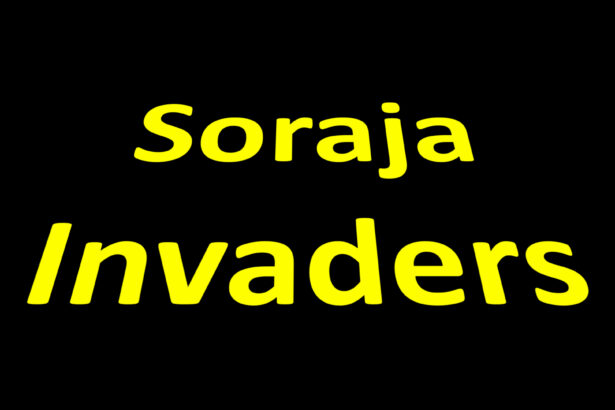 Soraja Invaders - Walkthrough | Trophy Guide | Achievement Guide