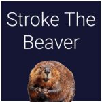 Stroke The Beaver - Walkthrough | Trophy Guide | Achievement Guide