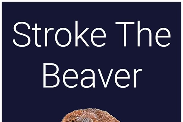 Stroke The Beaver - Walkthrough | Trophy Guide | Achievement Guide
