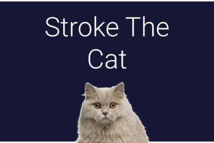 Stroke The Cat - Walkthrough | Trophy Guide | Achievement Guide