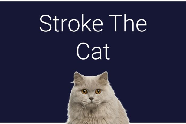 Stroke The Cat - Walkthrough | Trophy Guide | Achievement Guide