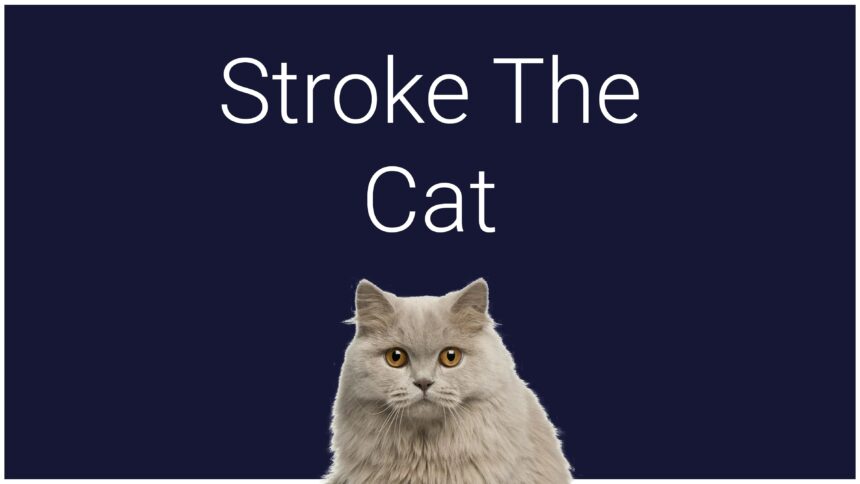 Stroke The Cat - Walkthrough | Trophy Guide | Achievement Guide