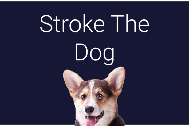 Stroke The Dog - Walkthrough | Trophy Guide | Achievement Guide