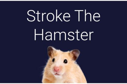 Stroke The Hamster - Walkthrough | Trophy Guide | Achievement Guide