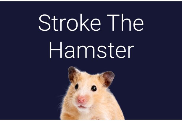 Stroke The Hamster - Walkthrough | Trophy Guide | Achievement Guide