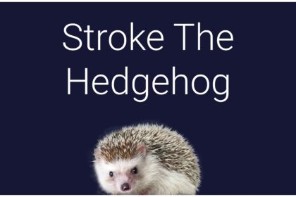 Stroke The Hedgehog - Walkthrough | Trophy Guide | Achievement Guide