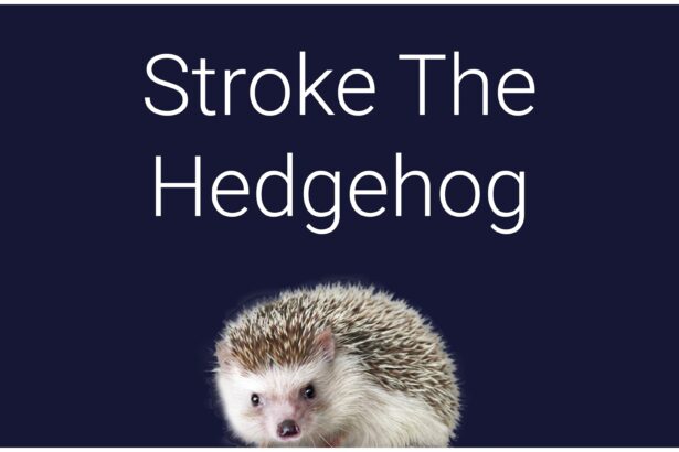 Stroke The Hedgehog - Walkthrough | Trophy Guide | Achievement Guide