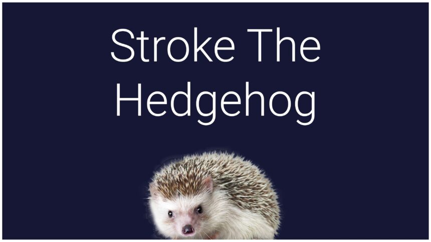 Stroke The Hedgehog - Walkthrough | Trophy Guide | Achievement Guide