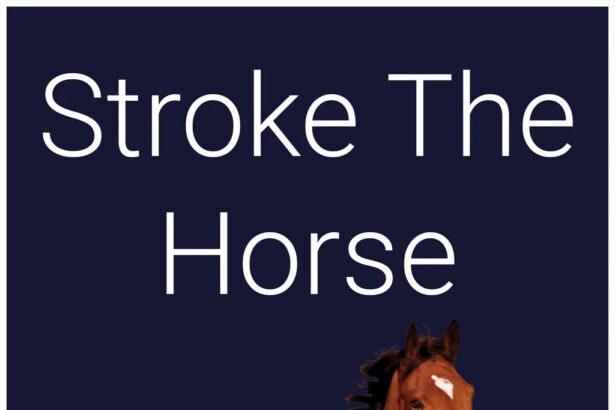Stroke The Horse - Walkthrough | Trophy Guide | Achievement Guide
