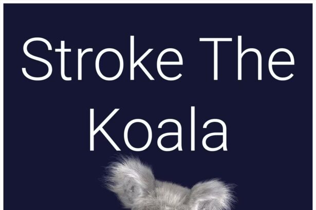 Stroke The Koala - Walkthrough | Trophy Guide | Achievement Guide