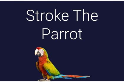 Stroke The Parrot - Walkthrough | Trophy Guide | Achievement Guide