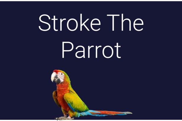 Stroke The Parrot - Walkthrough | Trophy Guide | Achievement Guide