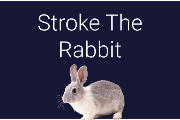 Stroke The Rabbit - Walkthrough | Trophy Guide | Achievement Guide