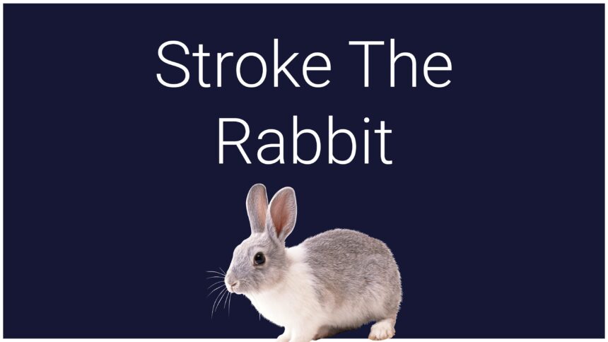 Stroke The Rabbit - Walkthrough | Trophy Guide | Achievement Guide