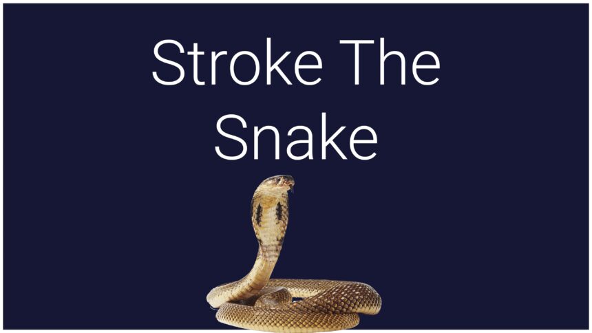 Stroke The Snake - Walkthrough | Trophy Guide | Achievement Guide