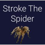 Stroke The Spider - Walkthrough | Trophy Guide | Achievement Guide