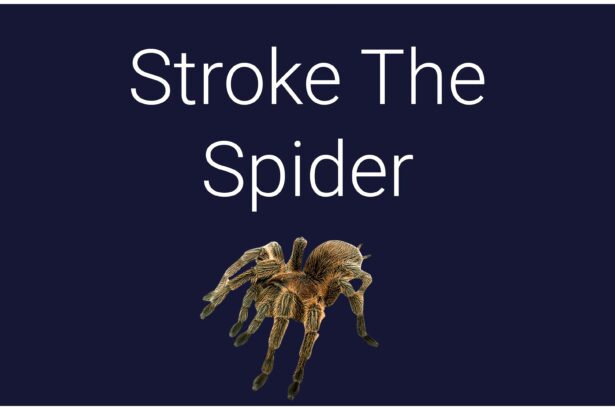 Stroke The Spider - Walkthrough | Trophy Guide | Achievement Guide