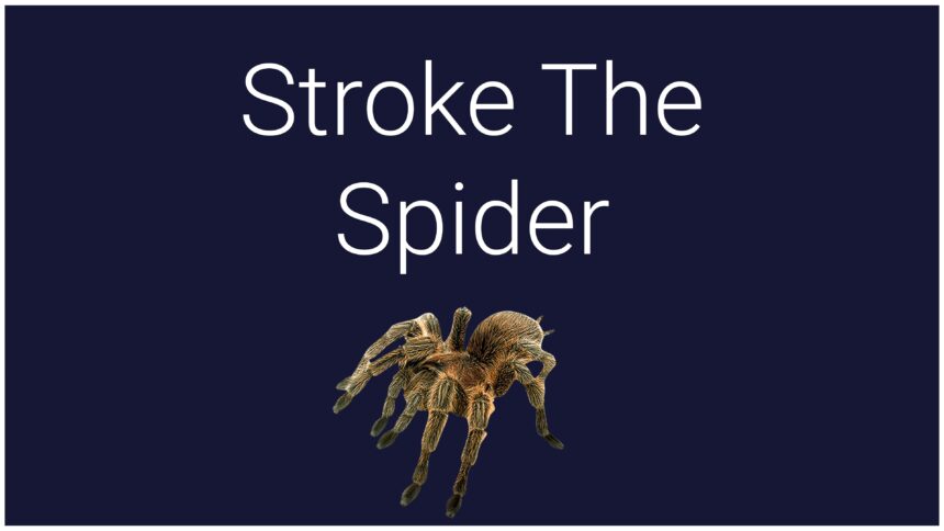 Stroke The Spider - Walkthrough | Trophy Guide | Achievement Guide