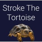 Stroke The Tortoise - Walkthrough | Trophy Guide | Achievement Guide