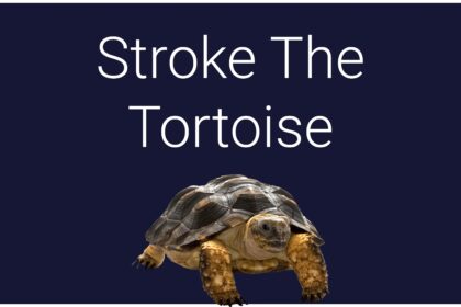 Stroke The Tortoise - Walkthrough | Trophy Guide | Achievement Guide