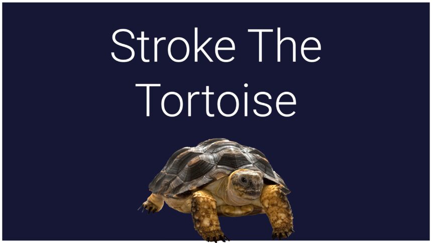 Stroke The Tortoise - Walkthrough | Trophy Guide | Achievement Guide