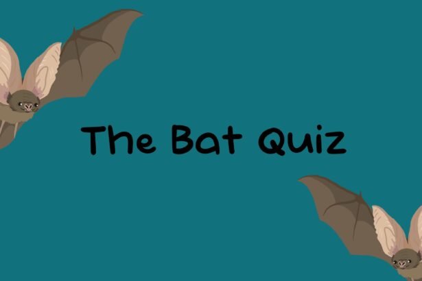 The Bat Quiz - Walkthrough | Trophy Guide | Achievement Guide